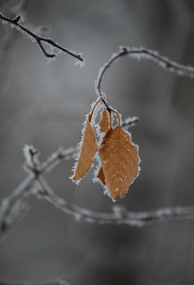 Photograph by Ирина Филиппова