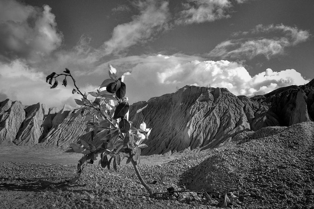 Photograph by Игорь Овсиенко