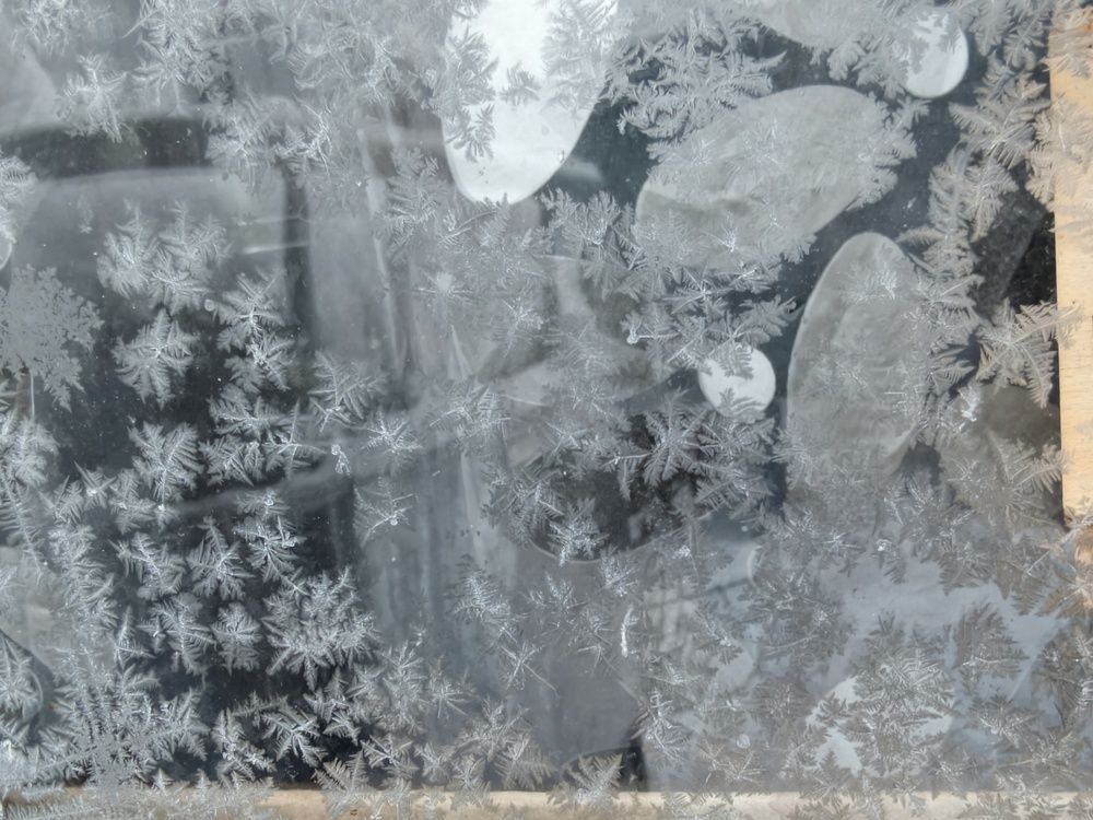 Photo #13030210