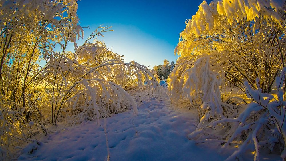 Photograph by Виталий Тимушев