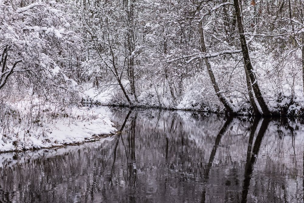 Photograph by Kristina Nutautiene