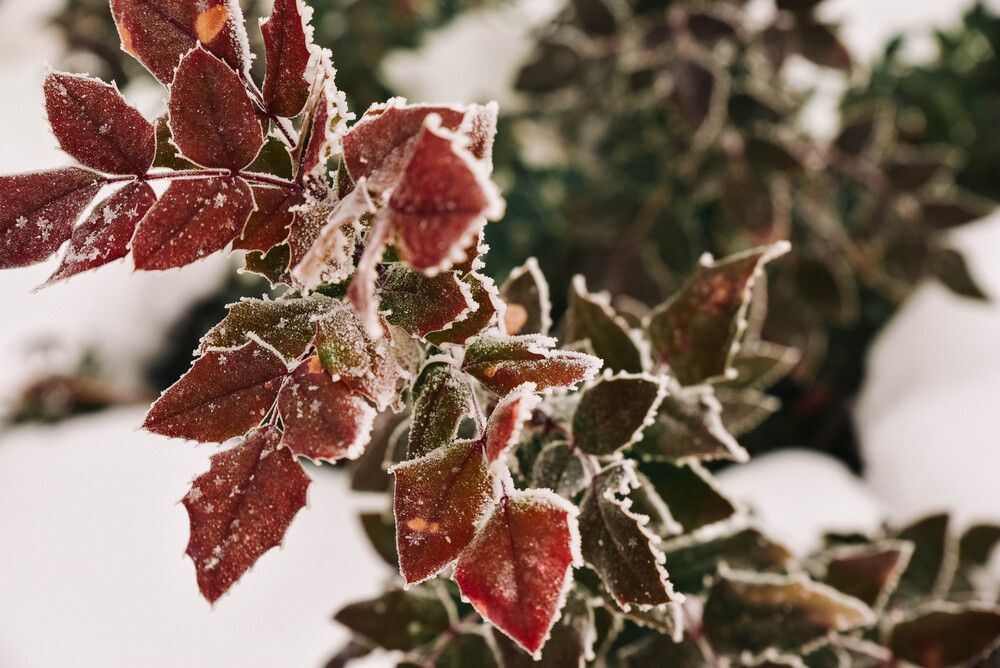 Фотография автора Dmitriy Sotnikov