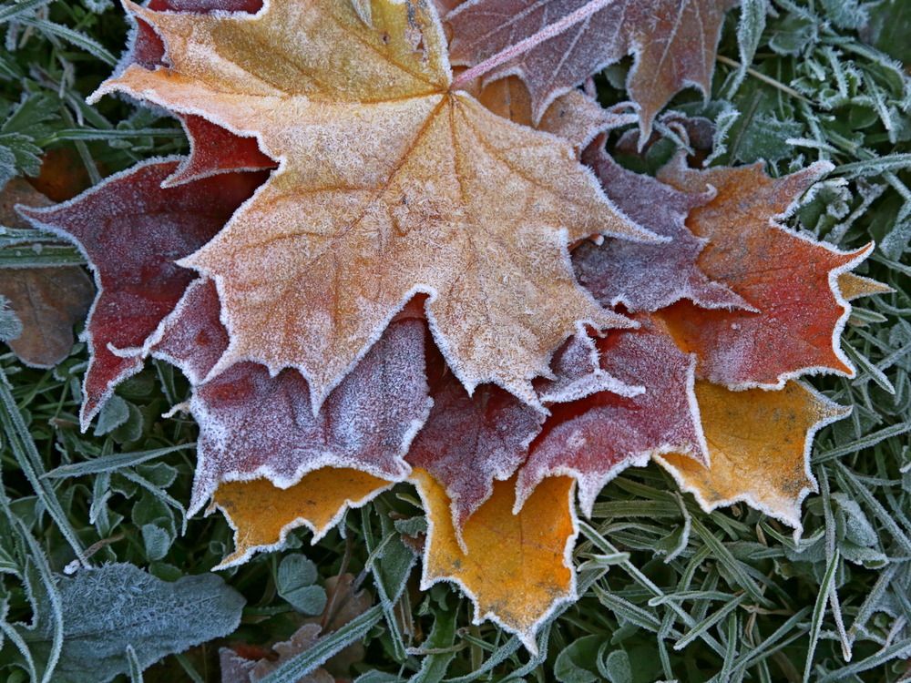 Фотография автора Александр Кожевников