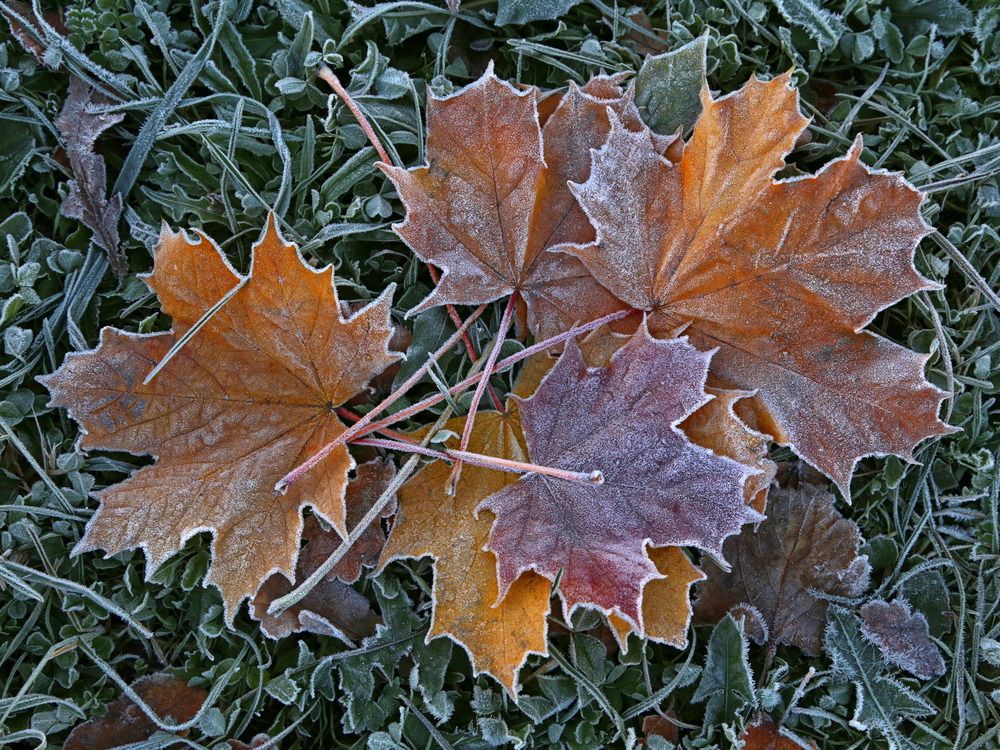 Фотография автора Александр Кожевников