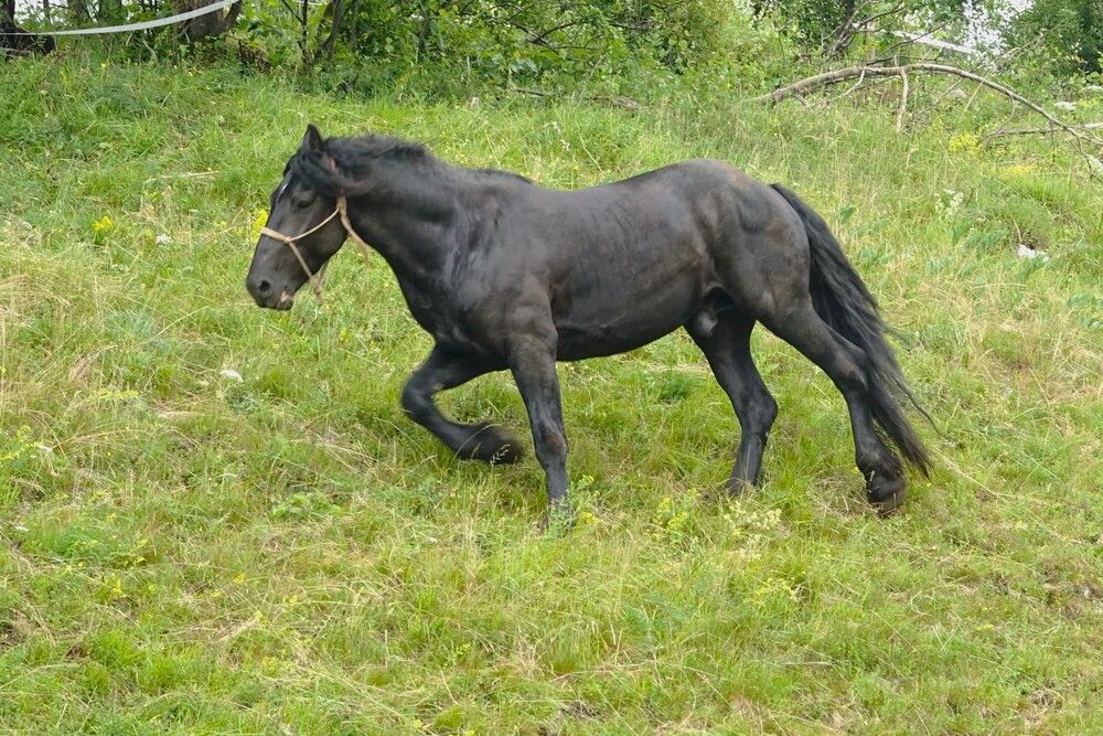 Photograph by jelena konickaja