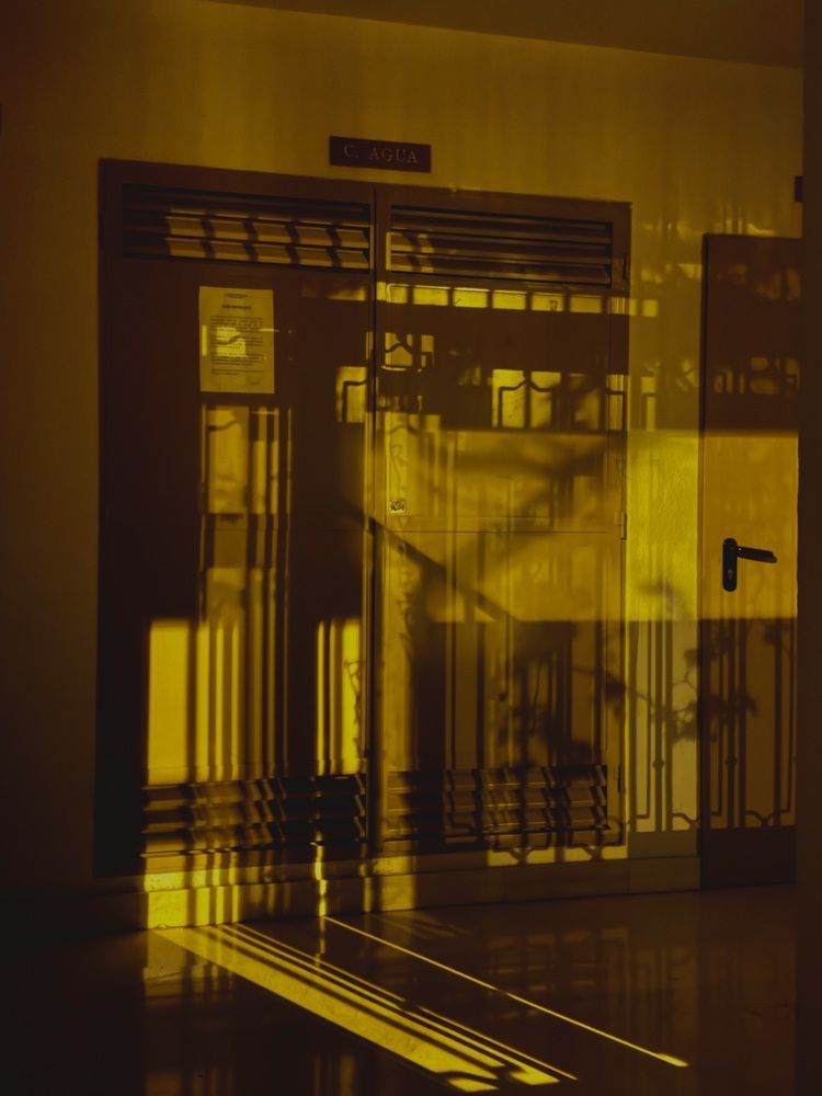 Photograph by Hector Lopez del Castillo