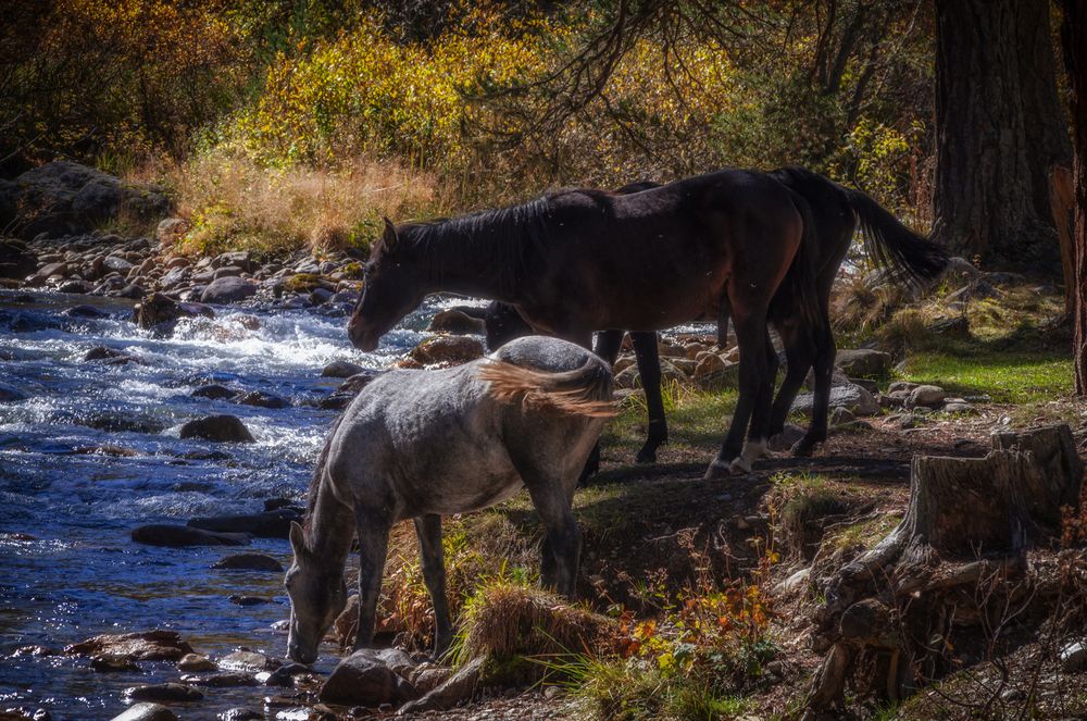 Photograph by Иван Достовалов