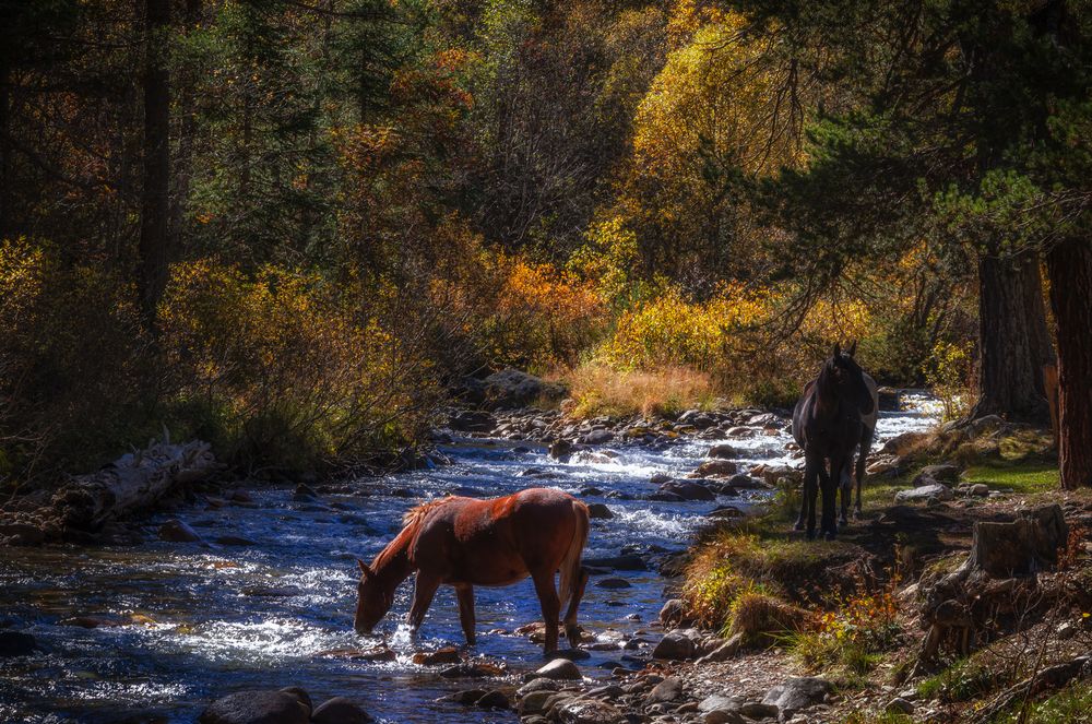 Photograph by Иван Достовалов