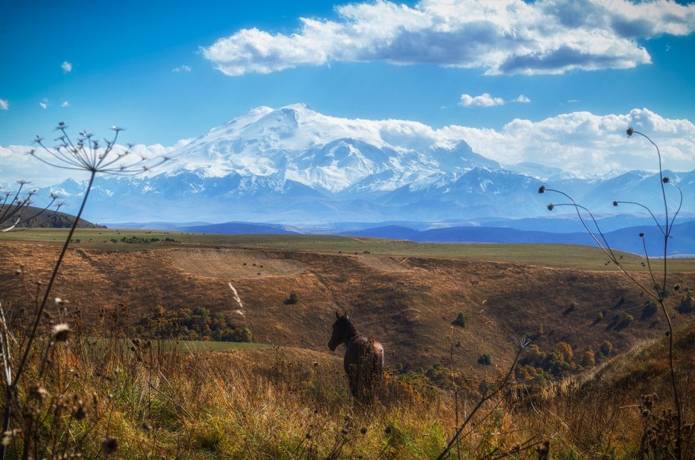 Photograph by Иван Достовалов