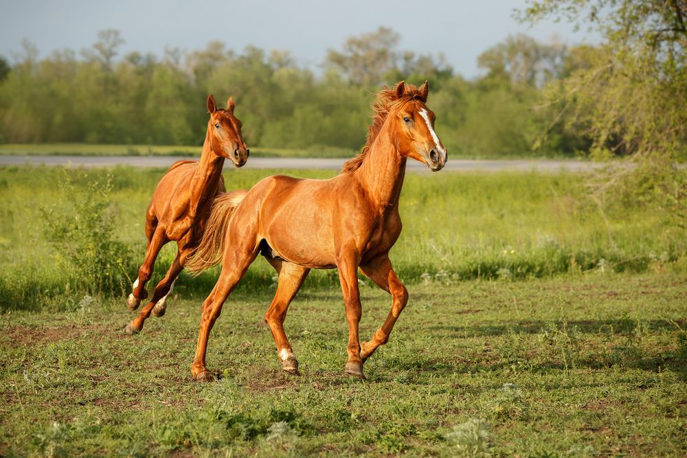 Photograph by Ольга Рябчикова