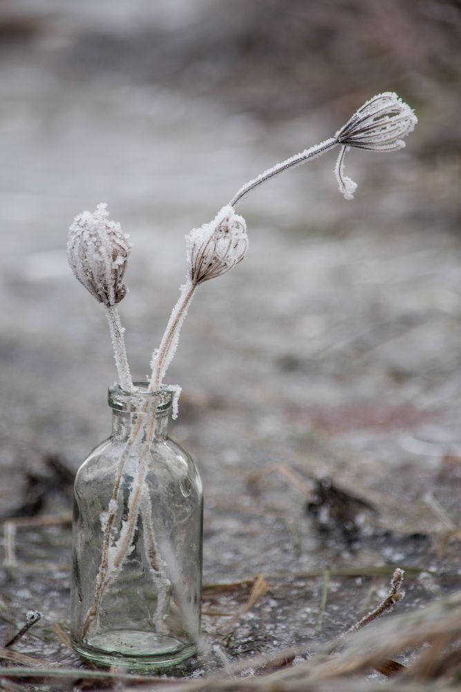 Photograph by Nutautiene Kristina