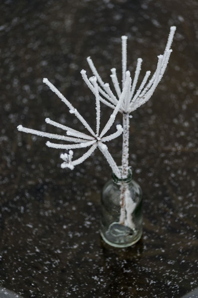 Photograph by Nutautiene Kristina