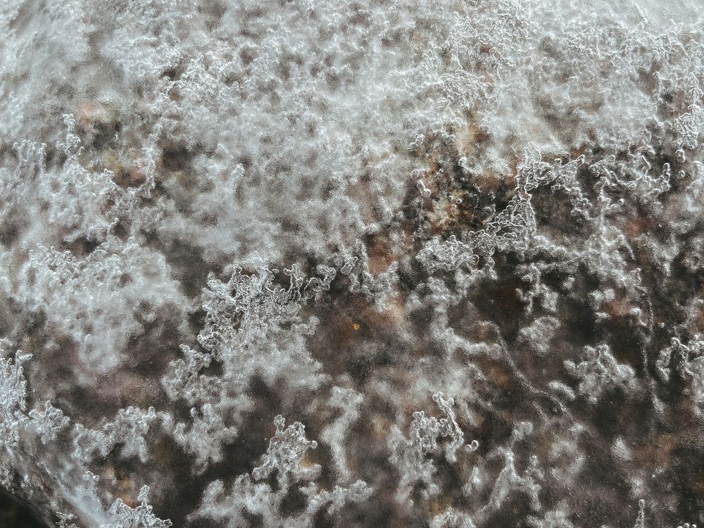 Photograph by Анастасия Лившиц