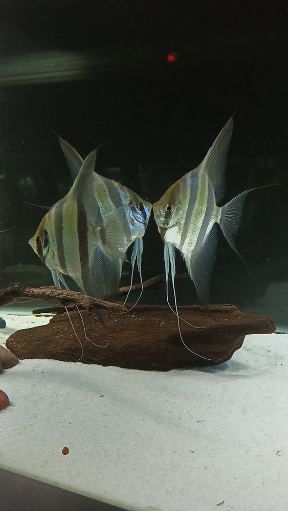 Photograph by Viktoryia М