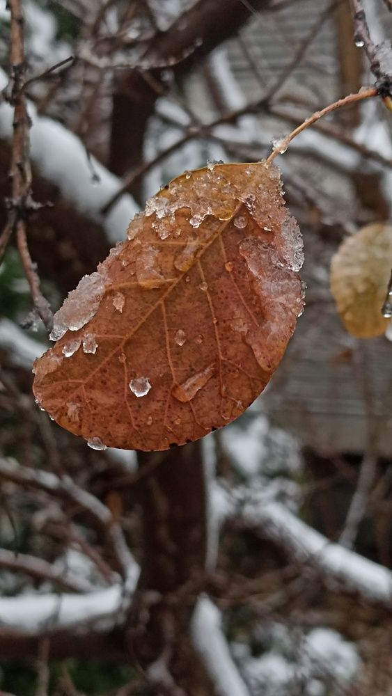 Photograph by Viktoryia М