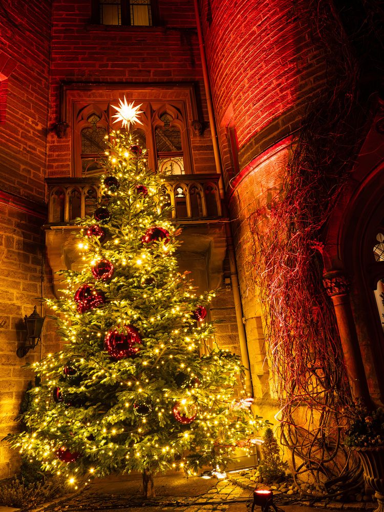 Photograph by Сергей Шишмарин