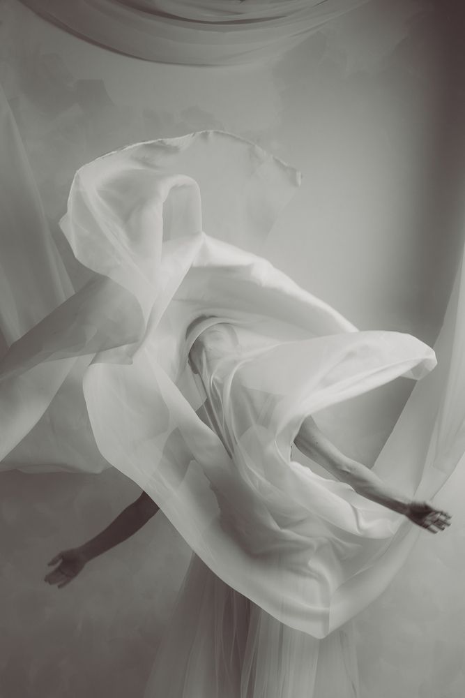 Wings of Silence