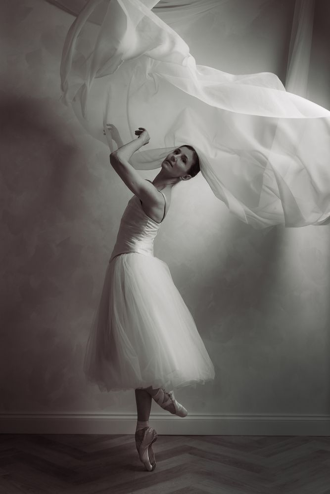 Photograph by Carol Lancelloti