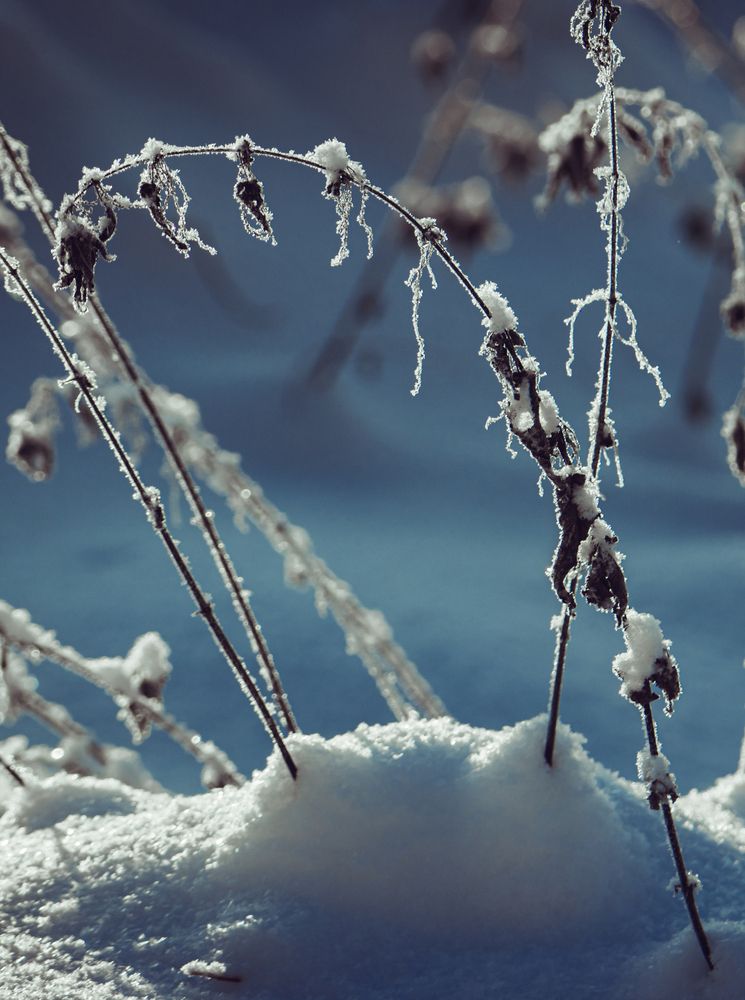 Photograph by Юлия Фомина