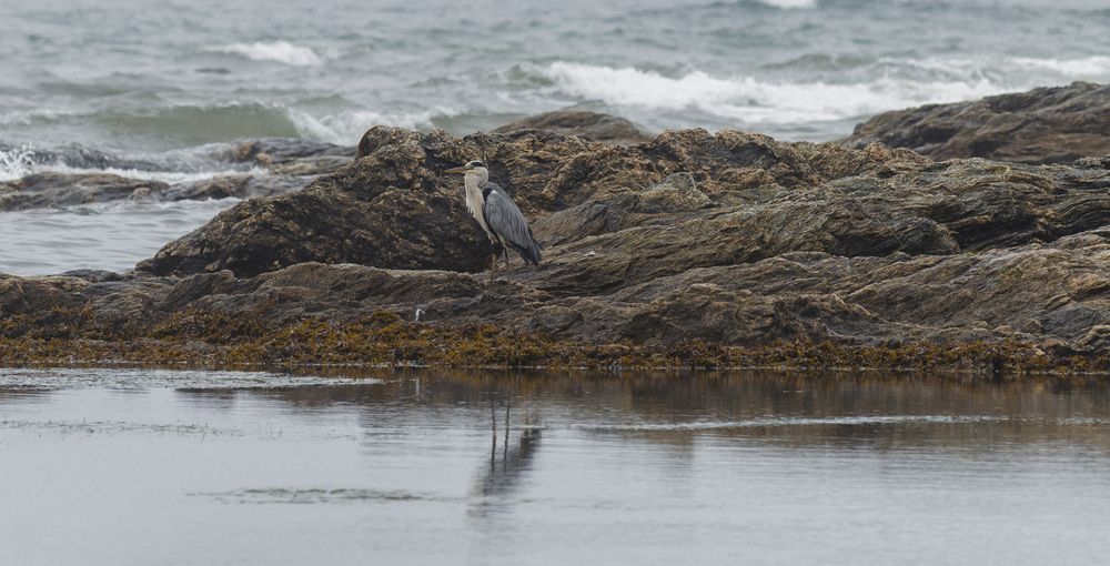 Photograph by Владимир
