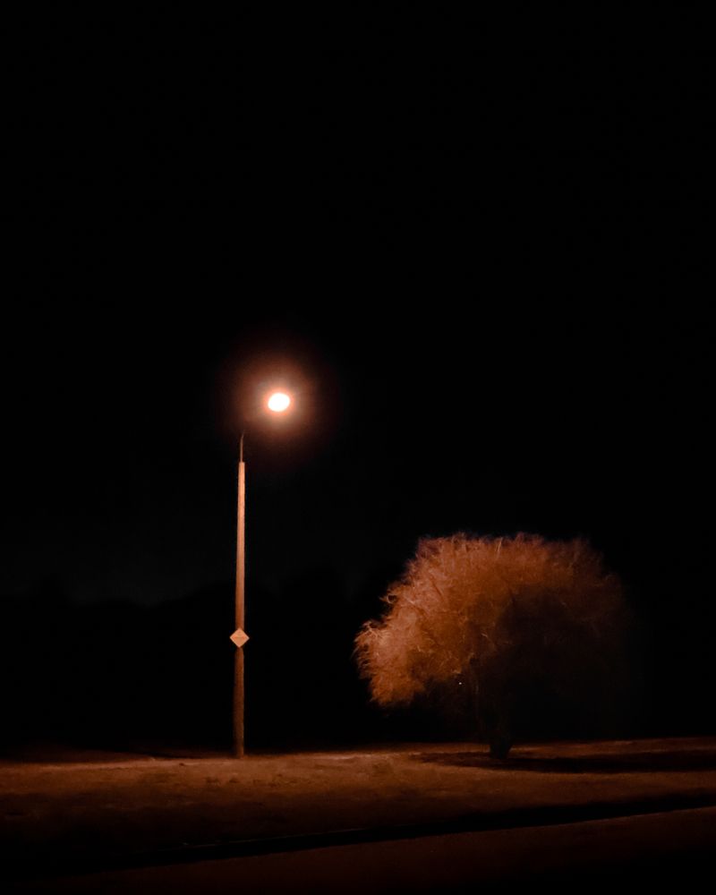 Photograph by Алексей Шаповалов