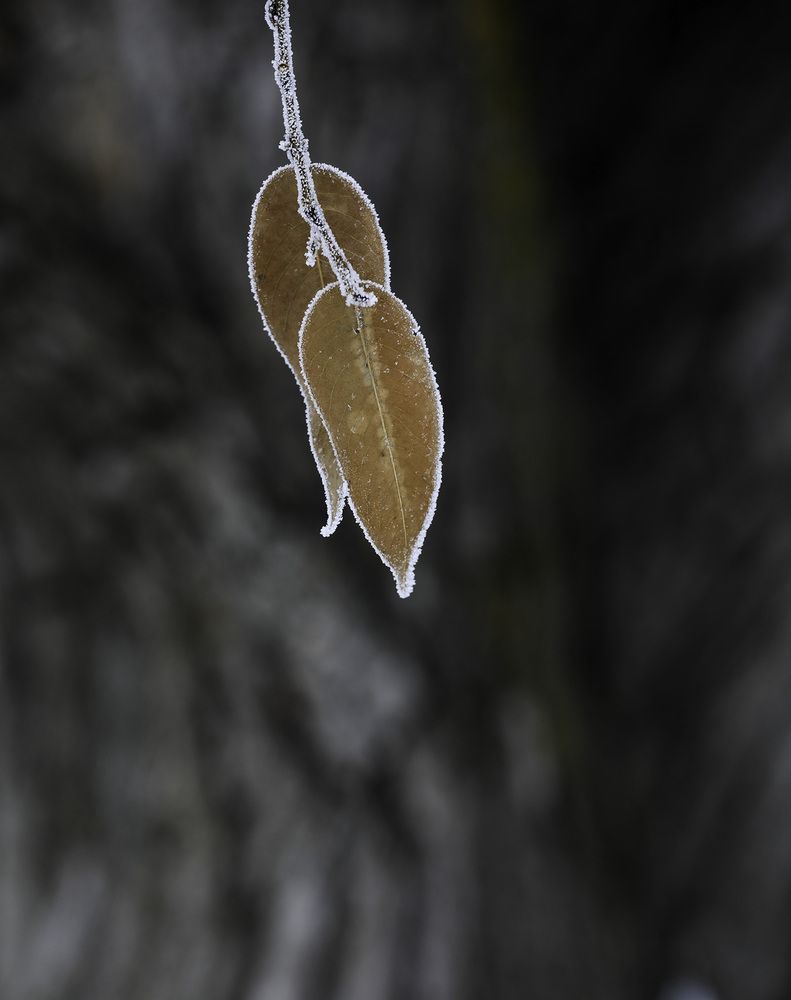 Photograph by Ирина Филиппова