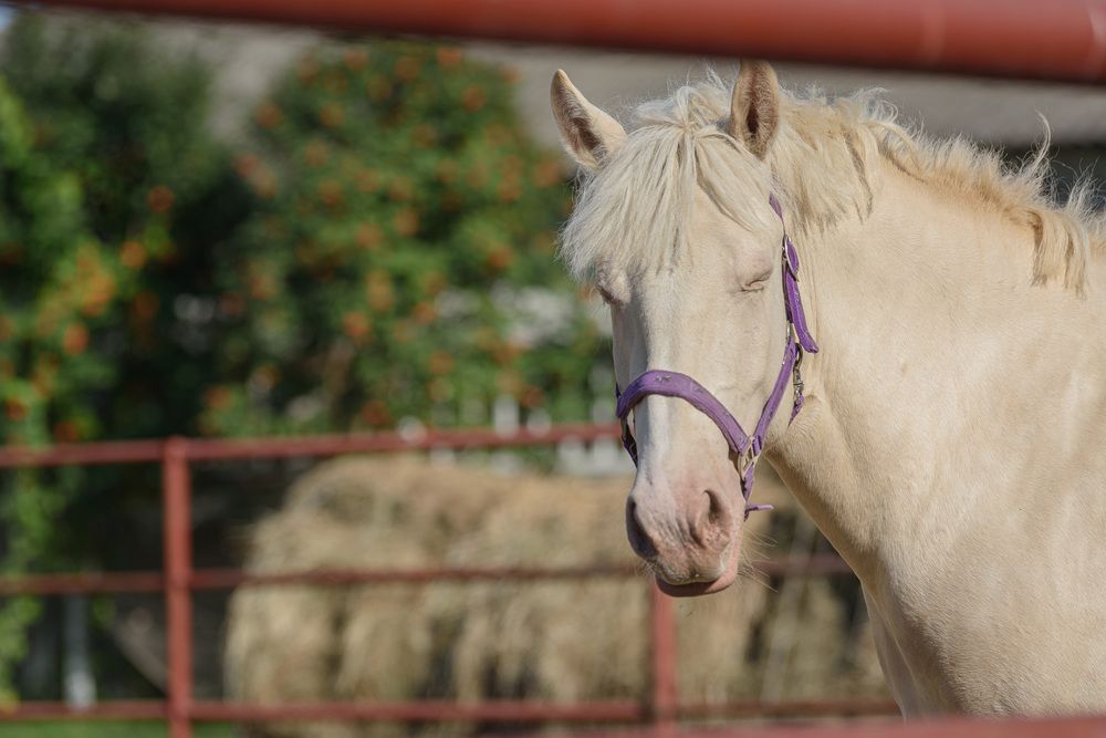 Photograph by Максим Михайлов