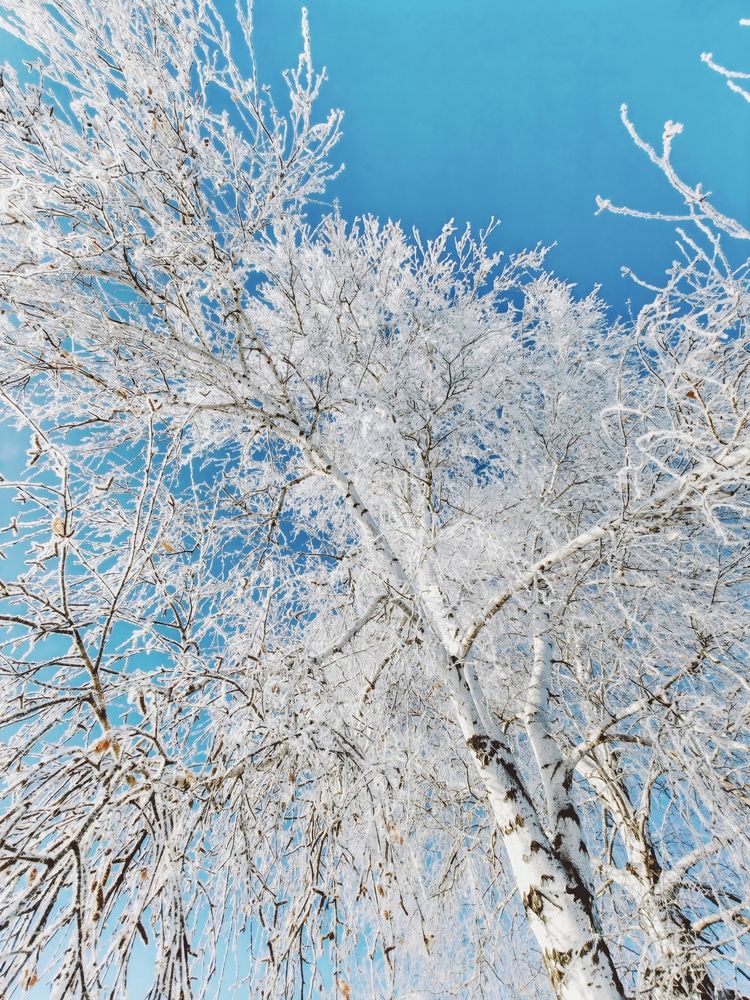 Photograph by Ксения Орлова