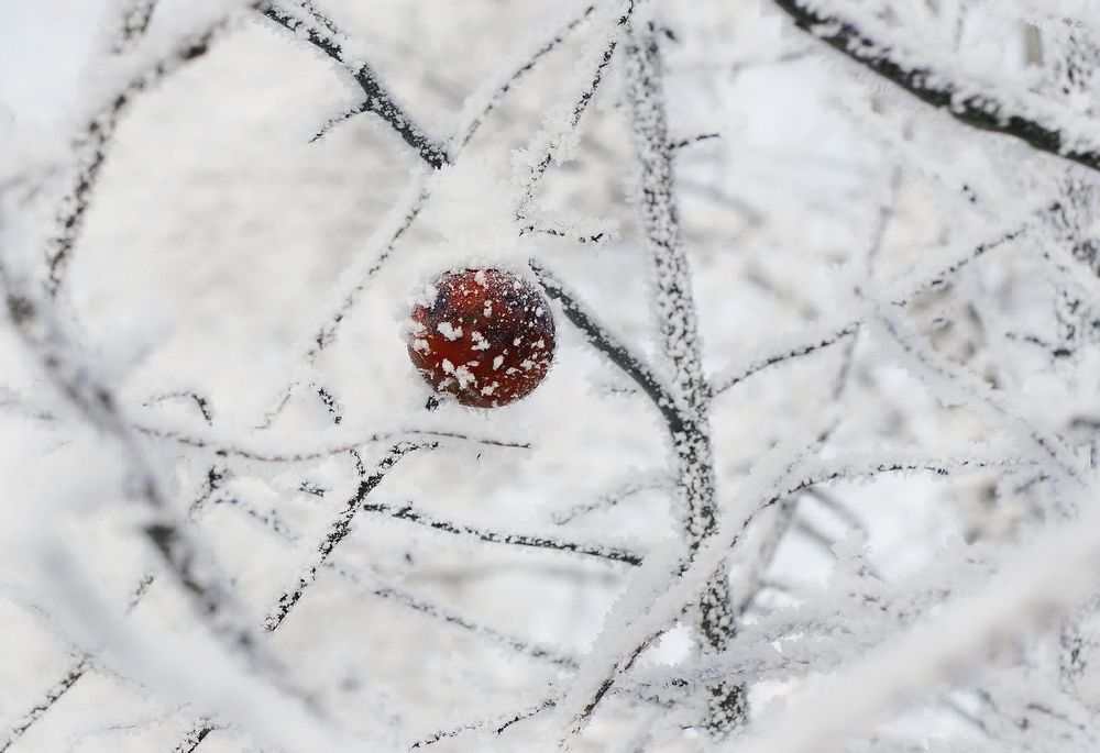 Фотография автора Е лена Е