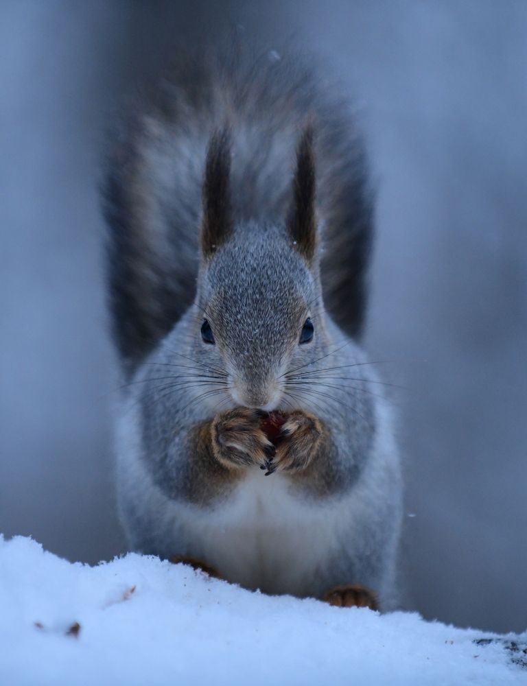 Photograph by Алексей Volg