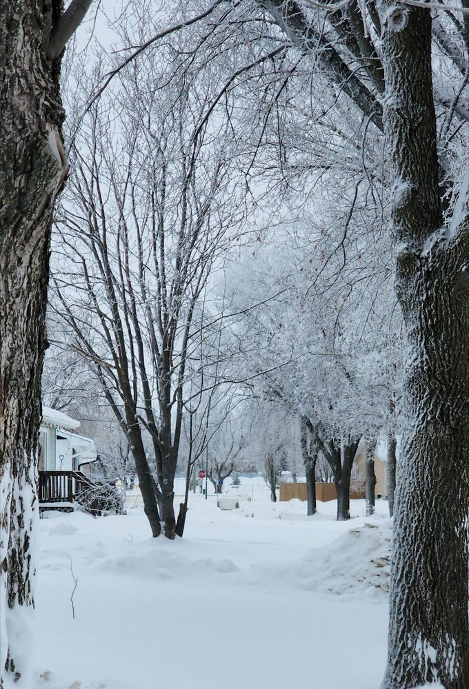 Фотография автора Al