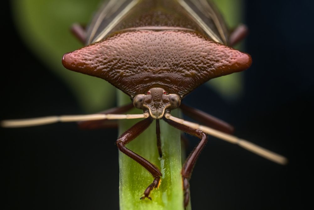 Фотография автора Gerardo Sánchez