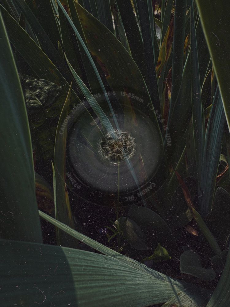 Photograph by Алёна Яцкевич