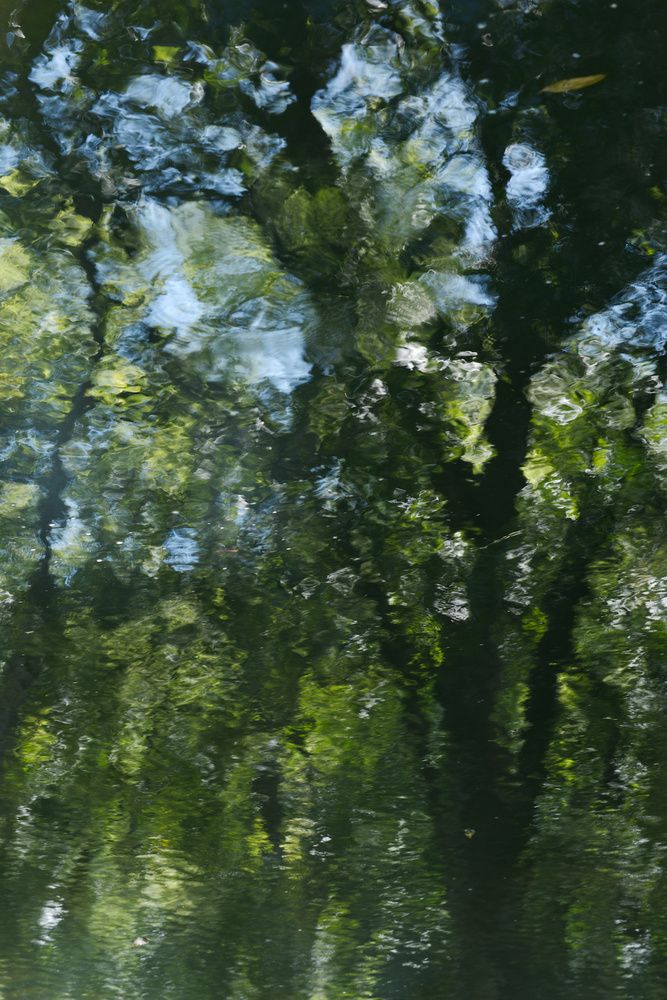 Фотография автора Gerardo Sánchez