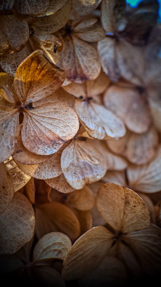 Photograph by Татьяна Кириллова