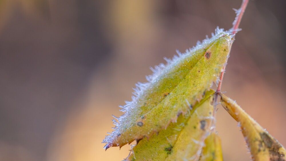 Photograph by Ксения Шилина