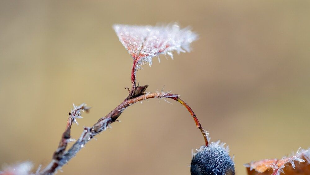 Photograph by Ксения Шилина