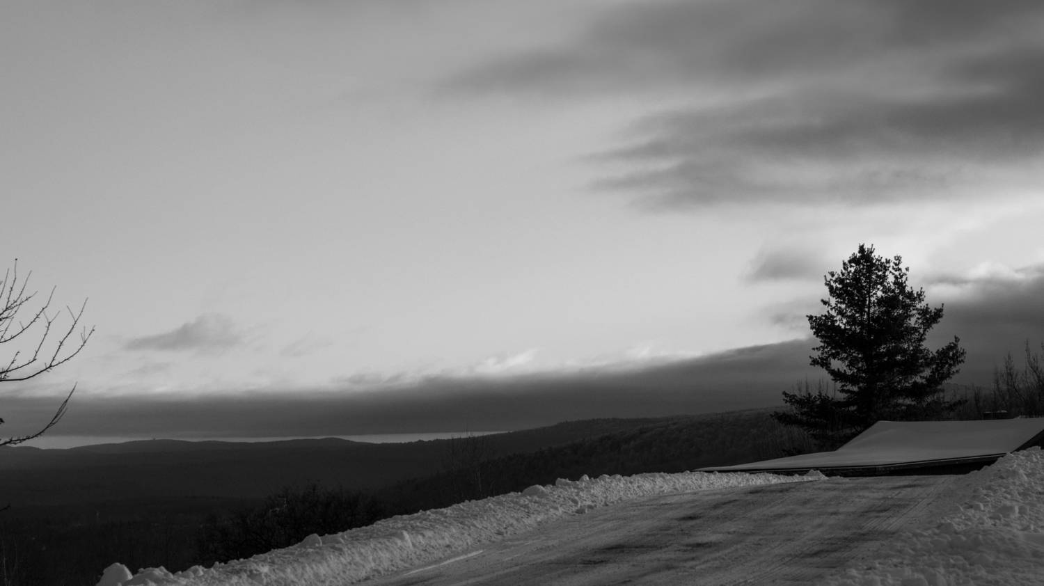 Photo #13030631