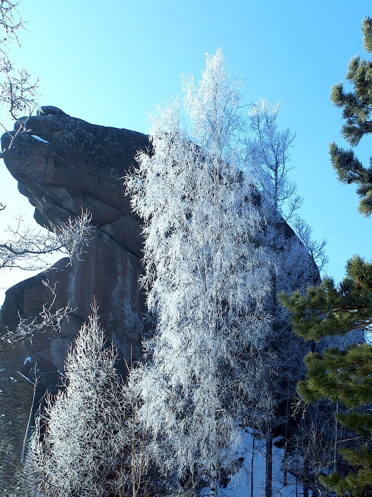 Photograph by Владимир Семиченко