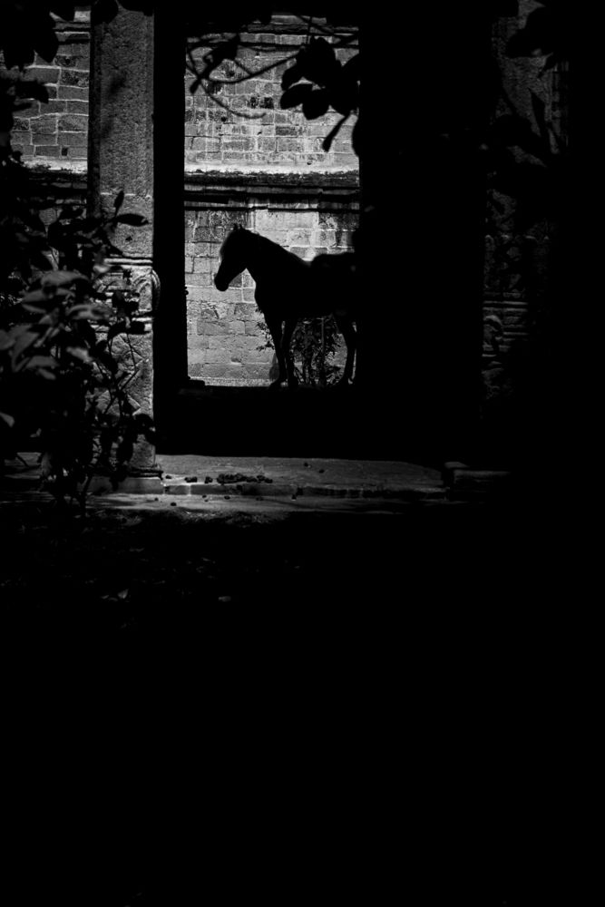 Photograph by Rajesh KP