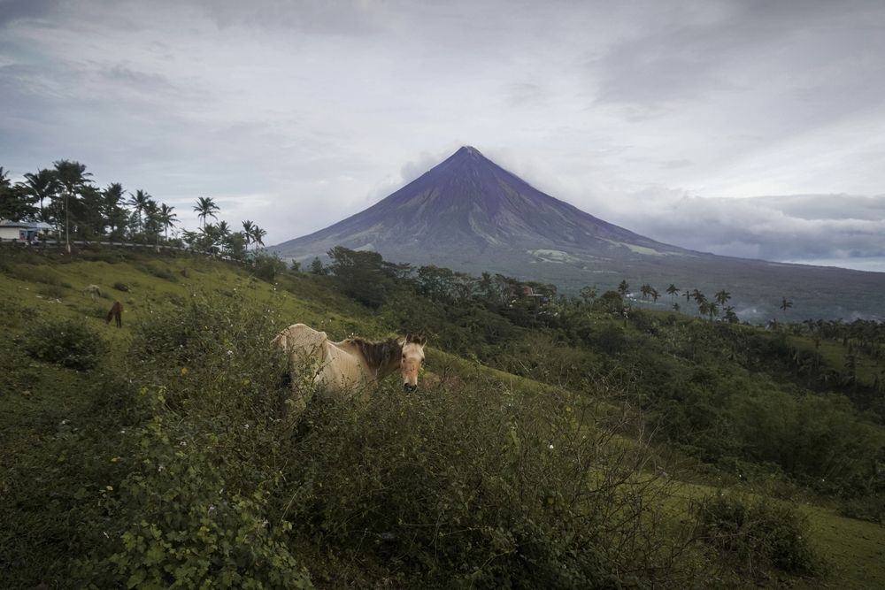 Life at Mayon\'s Foot