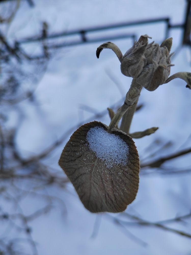 Photograph by Ольга Дружинина