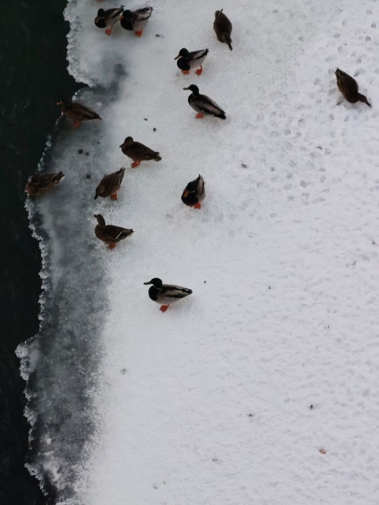 Photograph by Альбина Майкова