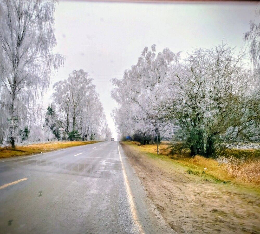 Фотография автора Ольга Лукьянова