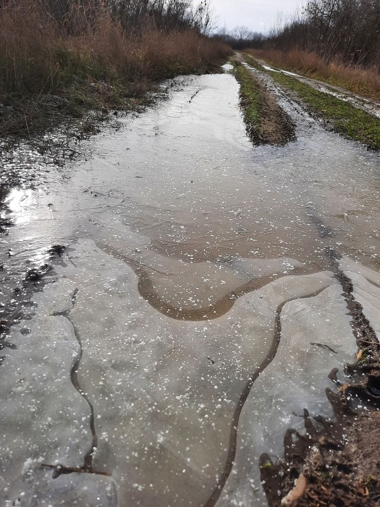 Photograph by Елена