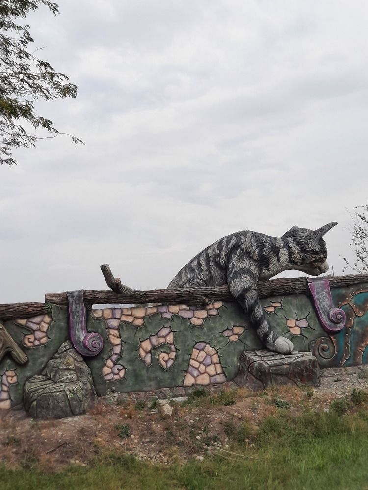 Photograph by Елена