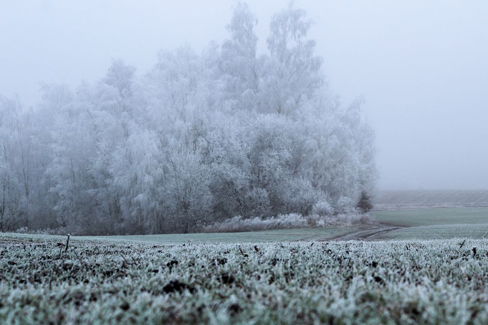 Photograph by Евгения Флиорчук