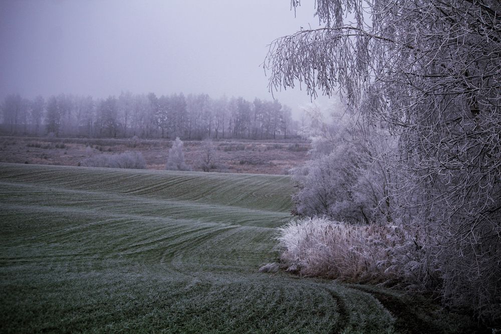 Photograph by Евгения Флиорчук