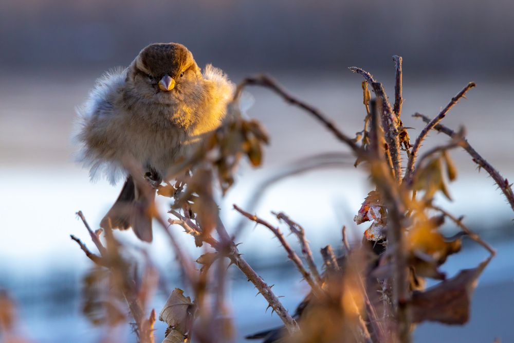 Photograph by Александр Ермаков
