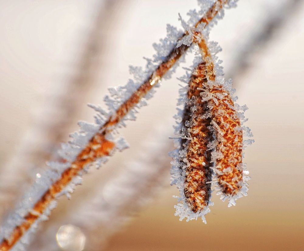 Photograph by Даниил Пузаков